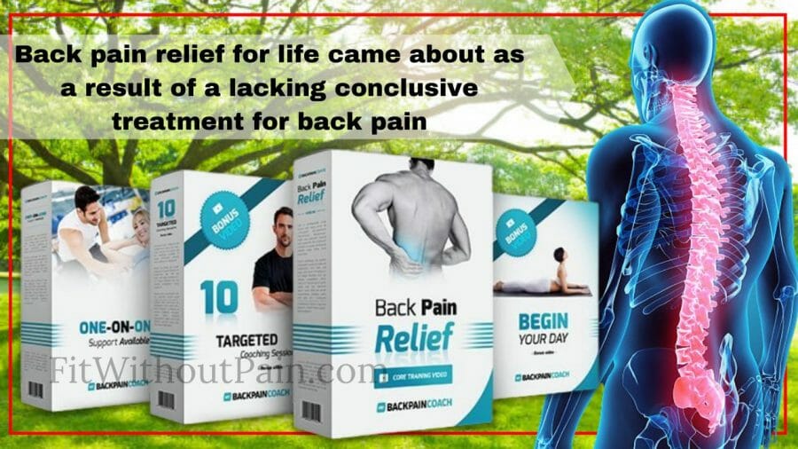 Back Pain Relief 4 Life Product