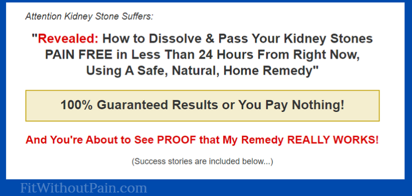 The KIDNEY STONE Removal Report Program