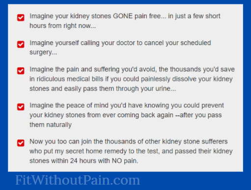 The KIDNEY STONE Removal Report Program