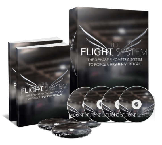 INTRODUCING THE FLIGHT SYSTEM