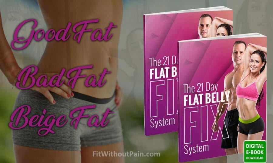 Flat Belly Fix Types of Fat