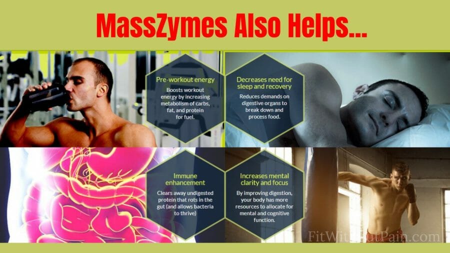 Masszymes Learn the exact amino acids you need to consume