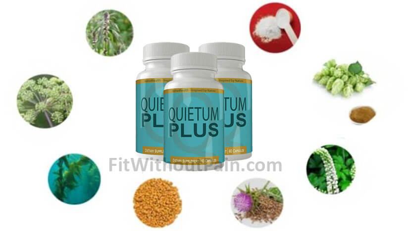 Quietum Plus Ingredients