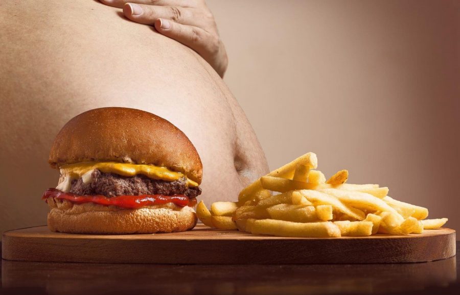 fast food is the reason to obesity