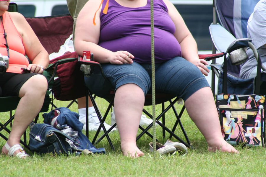 Obesity has become a common home problem today!