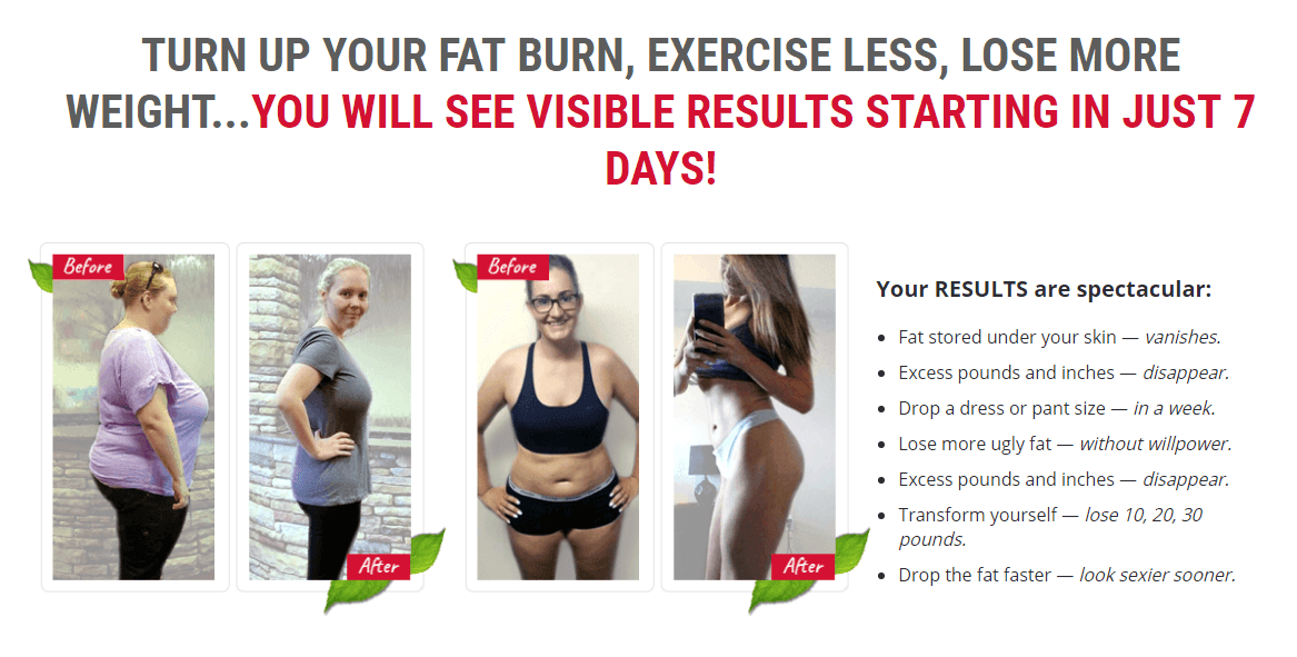 fat burning feedback