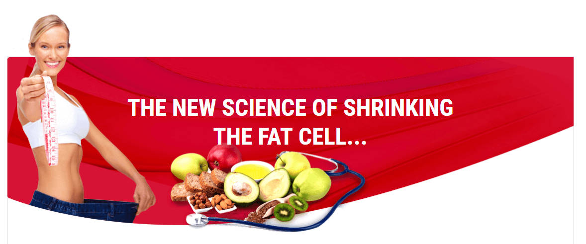 shrinking the fat cells 